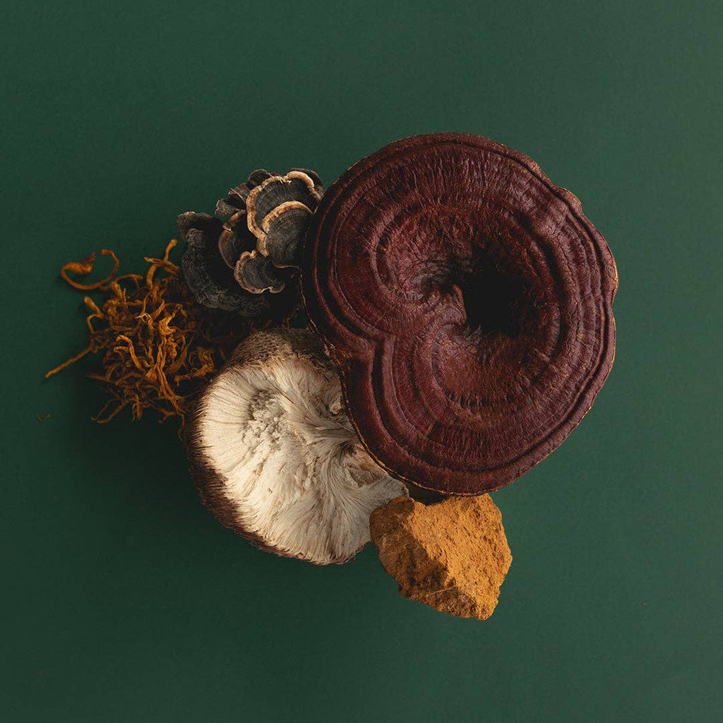 Ode Health - MUSHROOM COMPLEX HONEY PEARLS: 1 Week Supply | 21 Honey Pearls